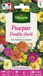 Pourpier Double Varié
